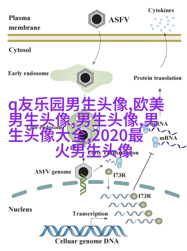 能吸引男生的女生头像(精选22张)